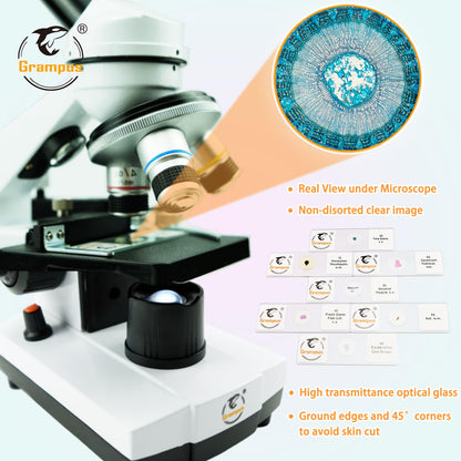 30 Prepared Microscope Slides with Specimens for Kids Students - Plants, for Biological Science Lab, Children's Science Education, Homeschooling Use