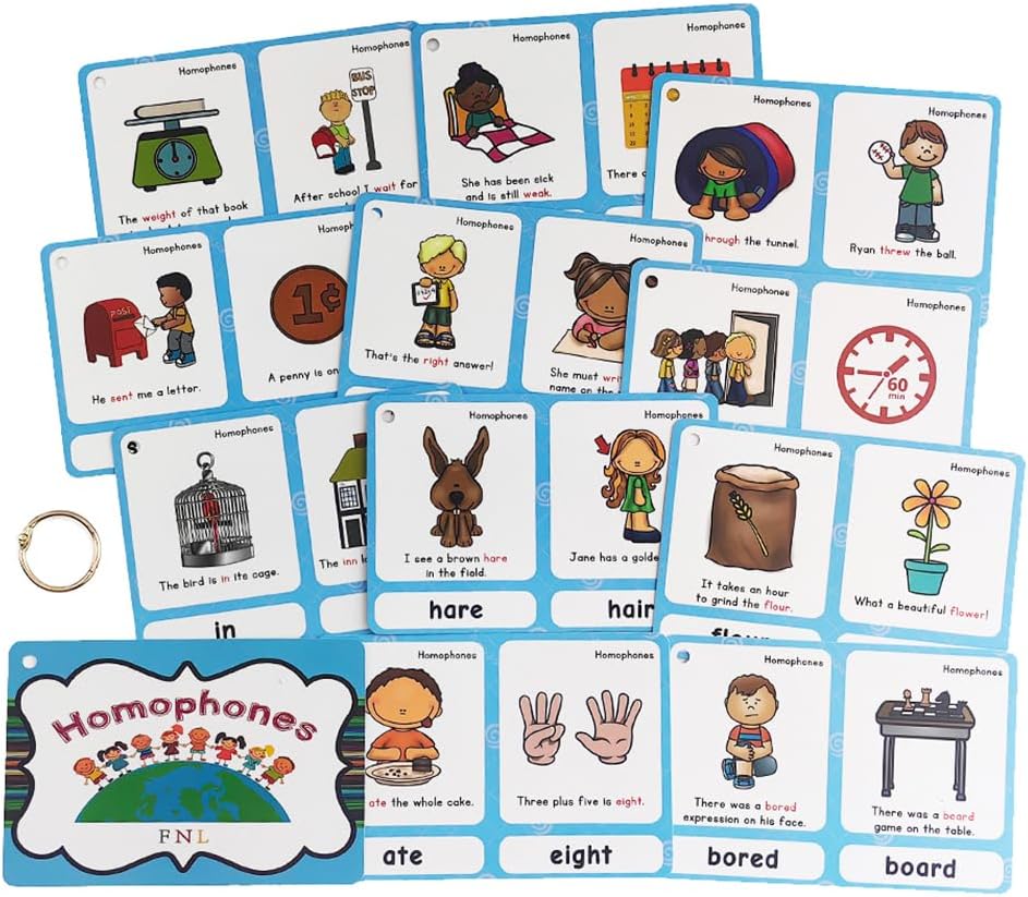 Lilias Irregular Past Tense Verbs English Grammar Double-Side Learning Flash Cards - 24 Card Set for Homeschool, Preschool, Primary School, ESL, Autism, Vocabulary Building