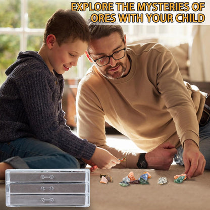 Rock Collection Box for Kids - Display Case for Collectibles - Storage and Display Shelf - Generation 2