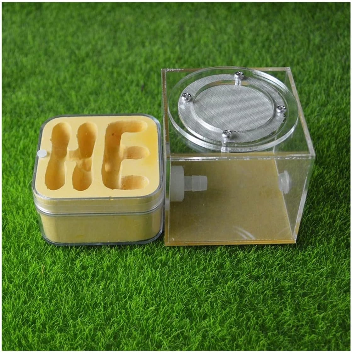KXCR Ant Farm DIY Plaster Ant Nest Acrylic Ants Farm Pet Ant Castle Workshop Home Garden Insect Box Children's Natural Ecological Science Education Unique Gift