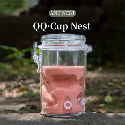 Ant Farm Adult ant Farm ant House pc Material Transparent Plaster Liner ant Observation Behavior Study Live Ants and Queen ant Lovers Educational ant nest Suitable for Children and Lovers Gift
