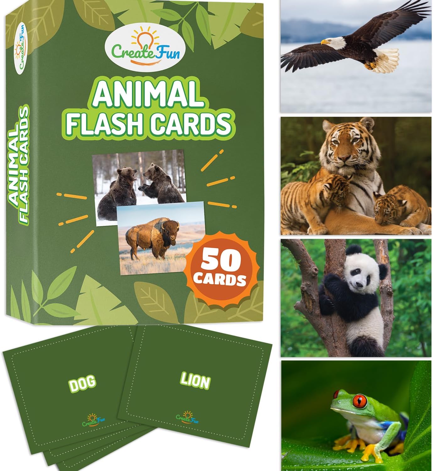 50 Noun Flash Cards, Fun Vocabulary Builder Educational Learning Photo Cards for Kids, Homeschool, Adults, Seniors, Speech Therapy, ESL, Autism, Dementia, Aphasia, SLP, ABA, and Occupational Therapy