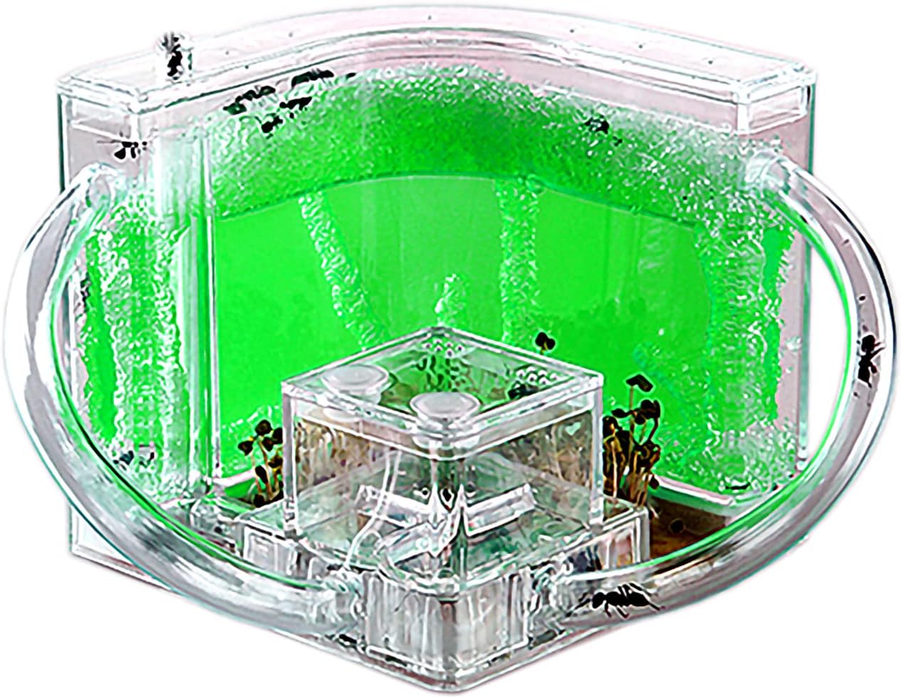 EXBEPE Ant Farm for Kids - Gel Castle Colony Ecosystem Terrarium Kit, Habitat Science Learning Kit