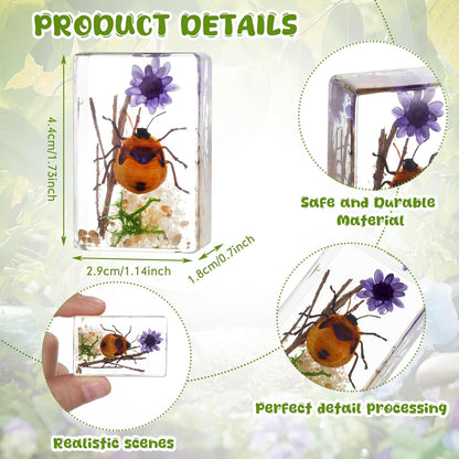 Macarrie 12 Pcs Insect Specimens for Kids Bug Collection Kit Real Specimens of Various Butterflies Beetles Classroom Science Education Animal Collection Bug Preserved Biology(Ladybug)