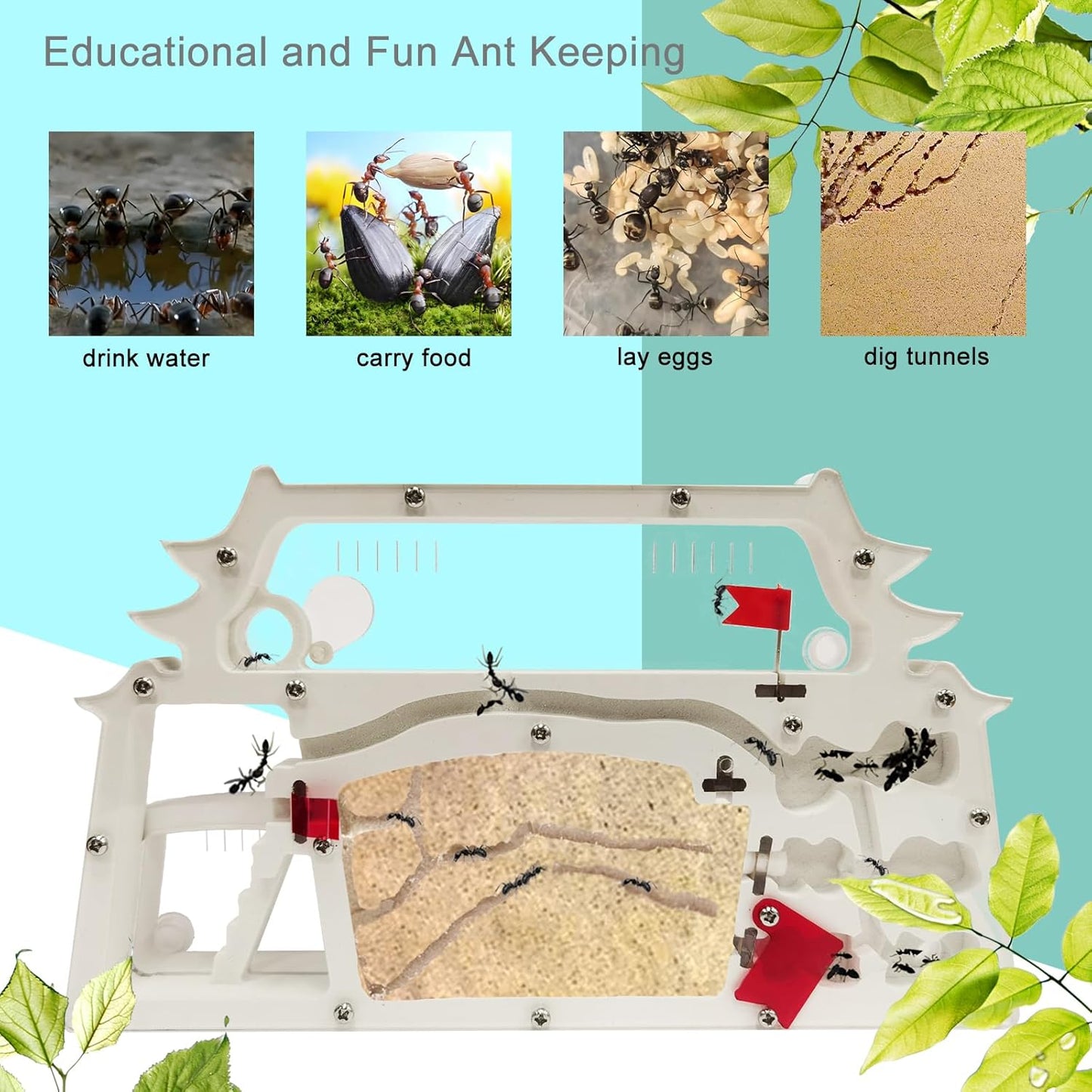 EXBEPE Ant Farm Castle,Ant Colony Habitat Observation Tool Kits,Bug Terrarium House,Nature Learning Toys, Education Science Kit