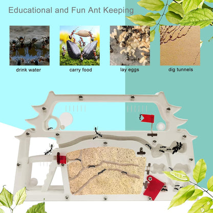 EXBEPE Ant Farm Castle,Ant Colony Habitat Observation Tool Kits,Bug Terrarium House,Nature Learning Toys, Education Science Kit