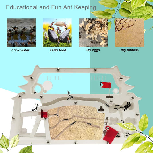 EXBEPE Ant Farm Castle,Ant Colony Habitat Observation Tool Kits,Bug Terrarium House,Nature Learning Toys, Education Science Kit