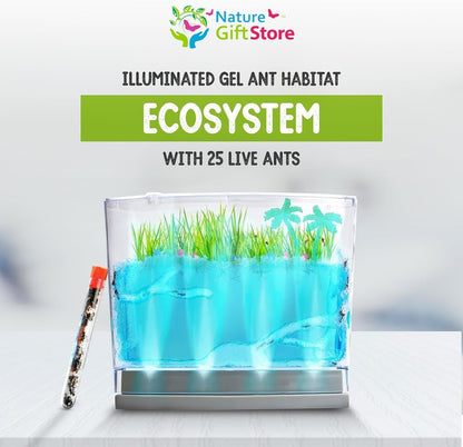 LED Lighted Gel Ecosystem Ant Habitat with 25 Live Ants - Eco-Terrarium Set - Includes Nutrient Gel, Seeds, Palm Trees, Rocks, and More