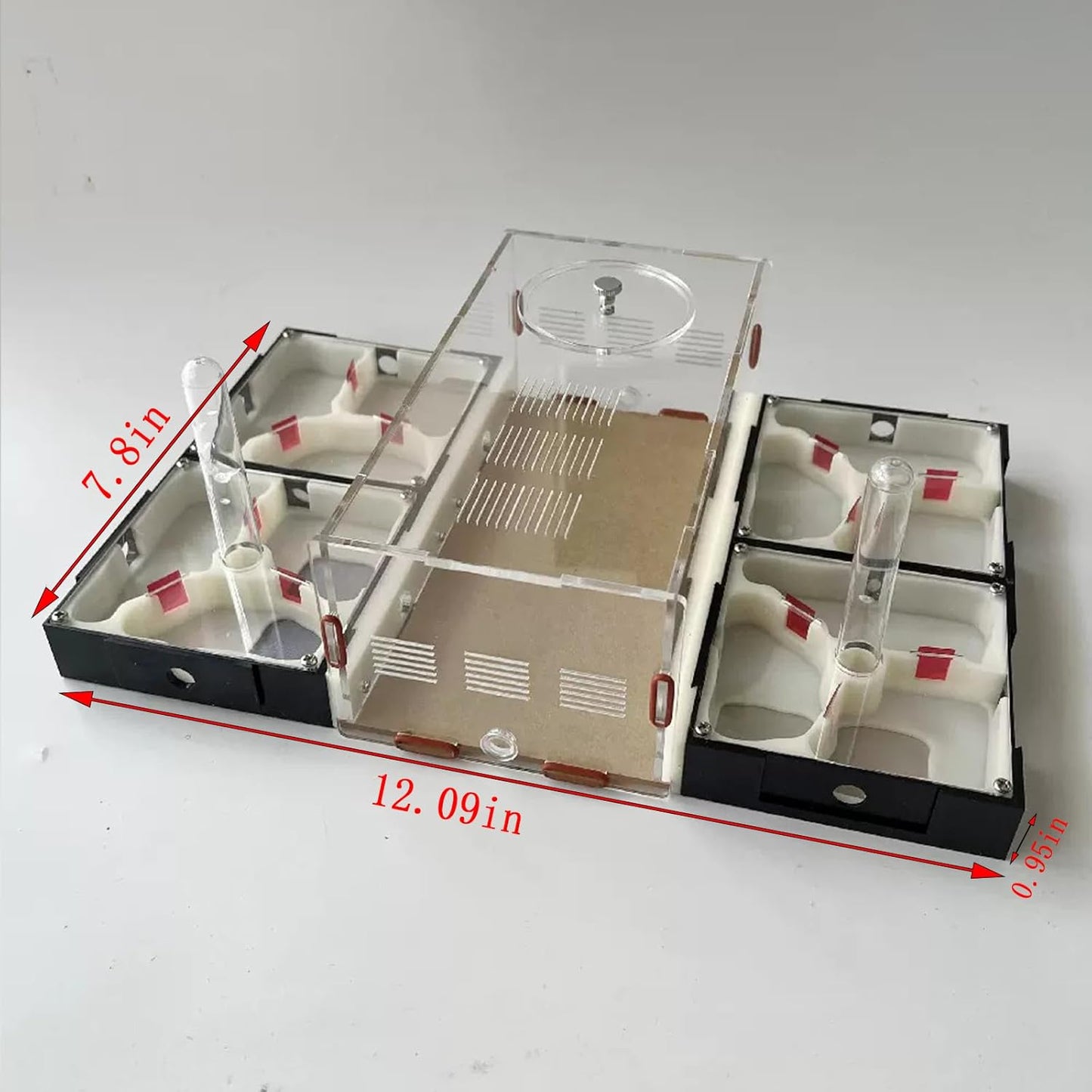 Plaster Test Tube Adult ant Farm Acrylic Transparent ant Observation Behavior Study Live Ants and Queen Education ant nest Small Colony breeding Area Suitable for Children and Enthusiasts Gift