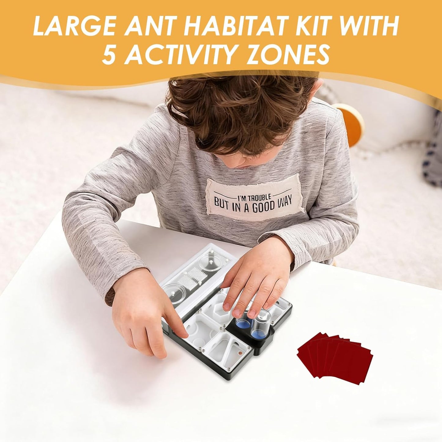 Ant Farm Nest - Educational Habitat - Black and White Acrylic Design with Built-in Water Tower and Clear Observation Area (S)