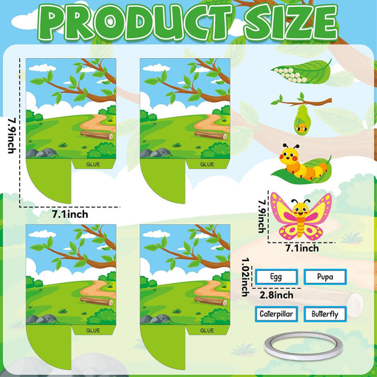3D Butterfly Life Cycle Craft Diorama Story Time Insect Growth Cycle Kit DIY Spring Butterfly Decor Art Set Aniaml Stages Science Activities Gift