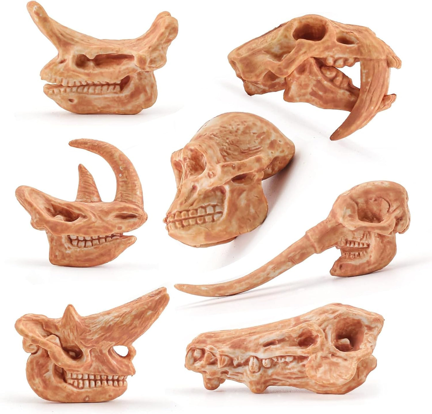 LC JoyCre Mini Dinosaur Bones for Kids Sandbox Toys - Realistic Fake Dinosaur Bones for Kids to Dig Up