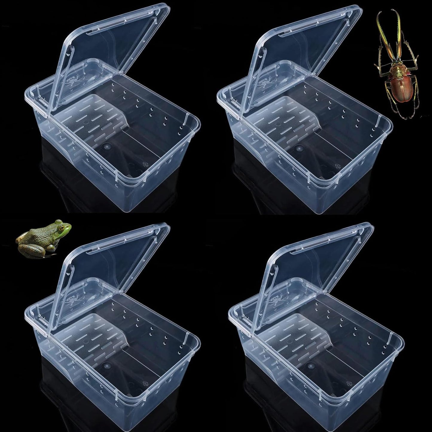 Critter Keeper Ant Farm Cane Toad Trap Little Live Pets Bug Catcher Kit for Kids Frog Habitat Turtle Tank Reptile Terrariums Lizard Cage Fish Bowl Beach Aquarium Catch and Release