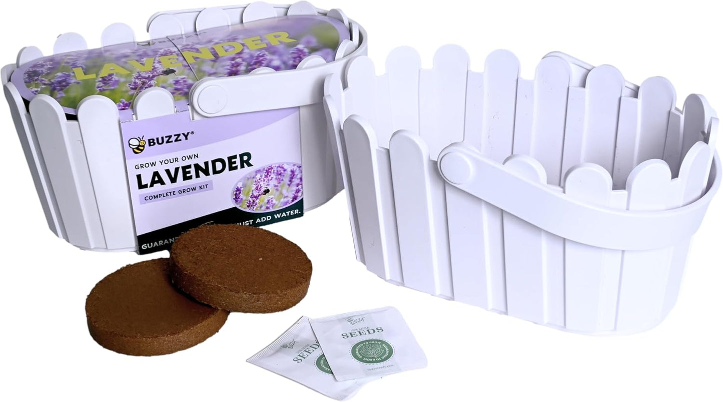 BUZZY Seeds Grow Your Own Lavender Basket – Indoor Flower Grow Kit with Growing Medium, Easy Instructions, Decorative White Basket – Ideal Gardening Gift for Beginners Plant Lovers DIY