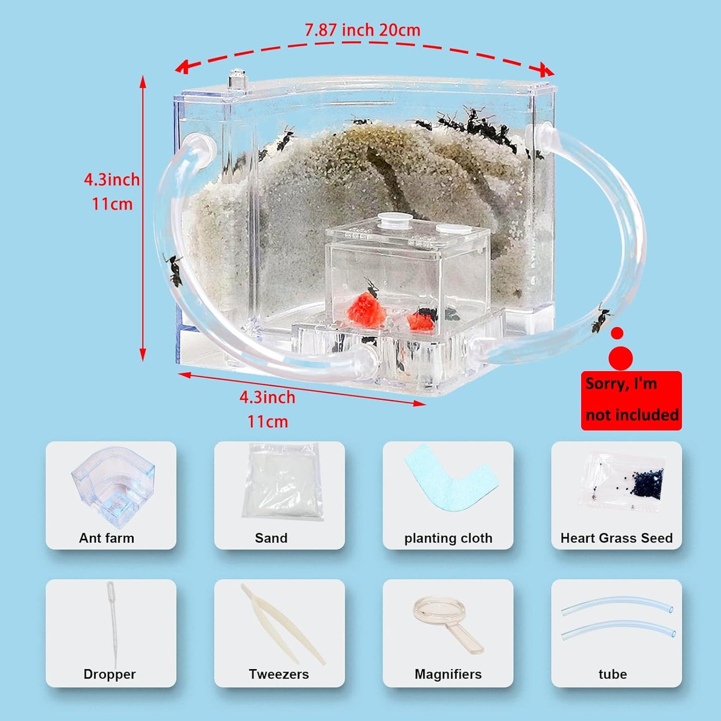 EXBEPE Sand Ant Farm with Connecting Tubes,Live Ant Habitat Colony Ecosystem Terrarium Kit for Kids to Study Insect Behavior