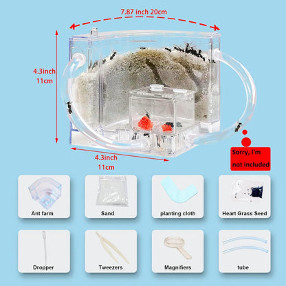 EXBEPE Sand Ant Farm with Connecting Tubes,Live Ant Habitat Colony Ecosystem Terrarium Kit for Kids to Study Insect Behavior