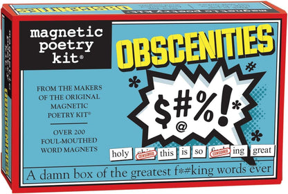 Bitch-Magnetic Poetry Kit
