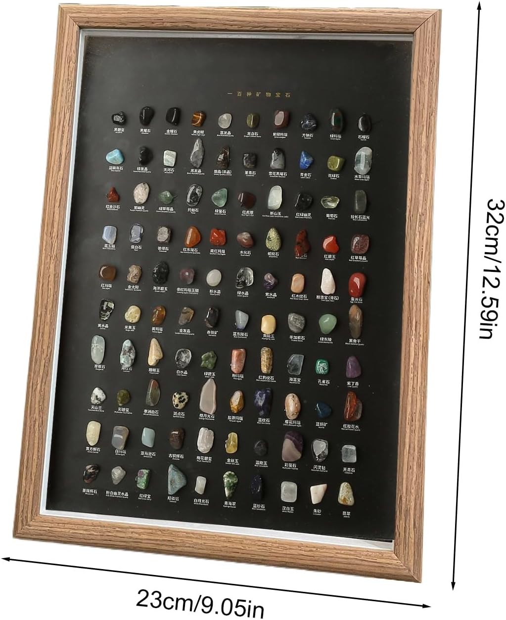 Natural Mineral Specimen Kit – 100pcs Rock Collection, Educational Science Box, Hands-On Learning, Display-Ready Stones | Rock Collection for Office, Bedroom, Living Room, Home, Educational Display