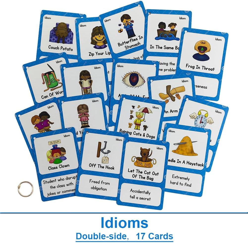 Lilias Irregular Past Tense Verbs English Grammar Double-Side Learning Flash Cards - 24 Card Set for Homeschool, Preschool, Primary School, ESL, Autism, Vocabulary Building