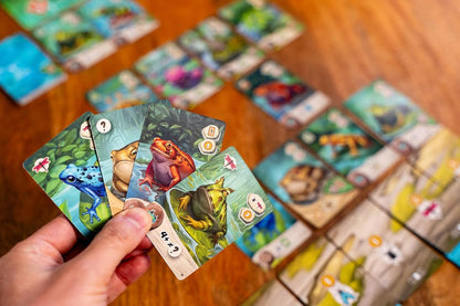 Pondscape, Cozy Family Strategy Card Game for Kids and Adults – for 1–4 Players, Ages 8+ – Family Games Night Essential