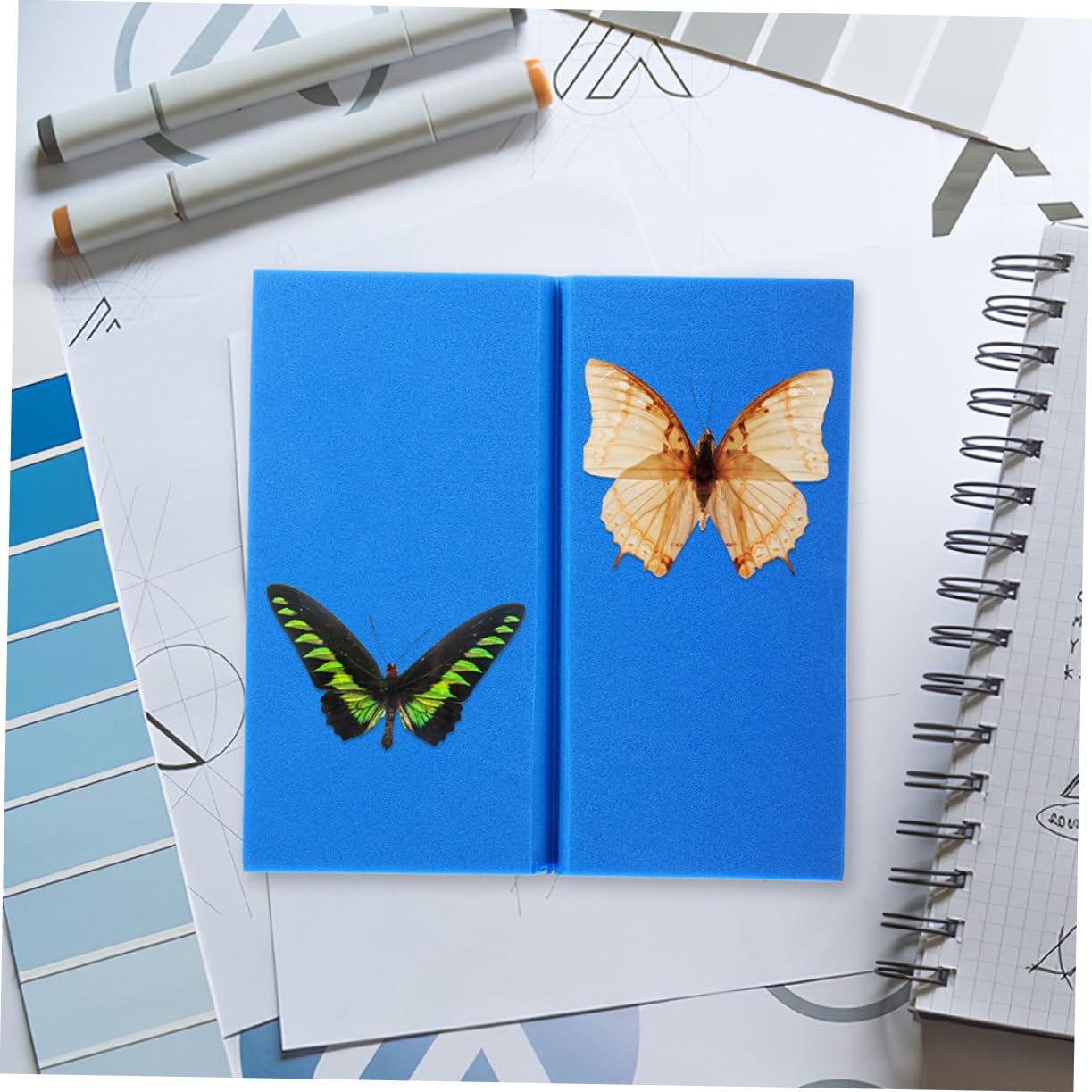 OUNONA 2pcs Eva Butterfly Specimen Spreading Board for High-Density Foam Insect Pinning Tools for Classroom Teaching and Display Museums and Collections