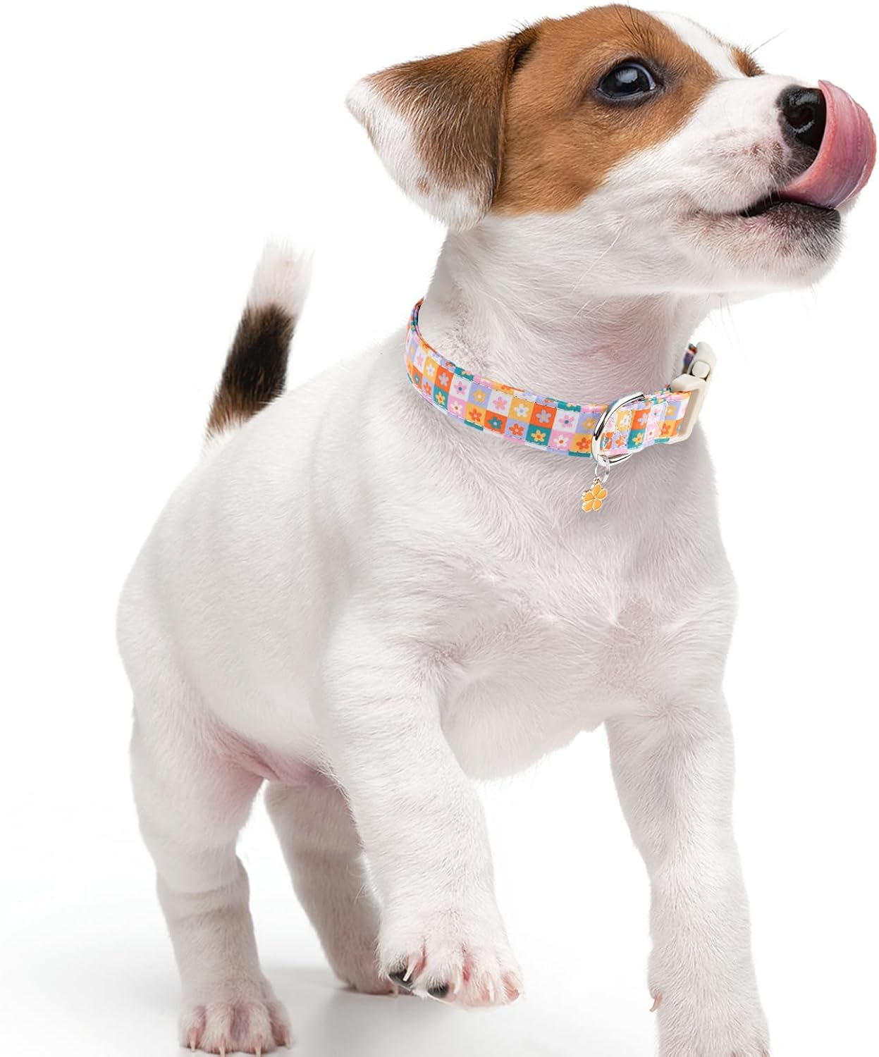 Faygarsle Dog Collar for Small Medium Large Dogs Colorful Puppy Collars for Female Dogs Toy Building Blocks Patterned Pet Collars for Summer Spring Wedding Puppy Girl Dog Collar M