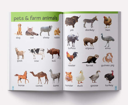 My First 1000 Words: Early Learning Picture Book to learn Alphabet, Numbers, Shapes and Colours, Transport, Birds and Animals, Professions, Opposite Words,