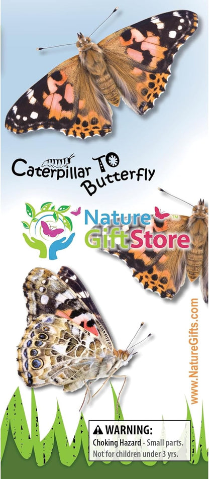 30 Live Caterpillars for Butterfly Habitat Kit - Refill for Painted Lady Butterfly Kit with Caterpillar Food, Instructions - Educational Science Kit, 6 Cups of 5 Caterpillars