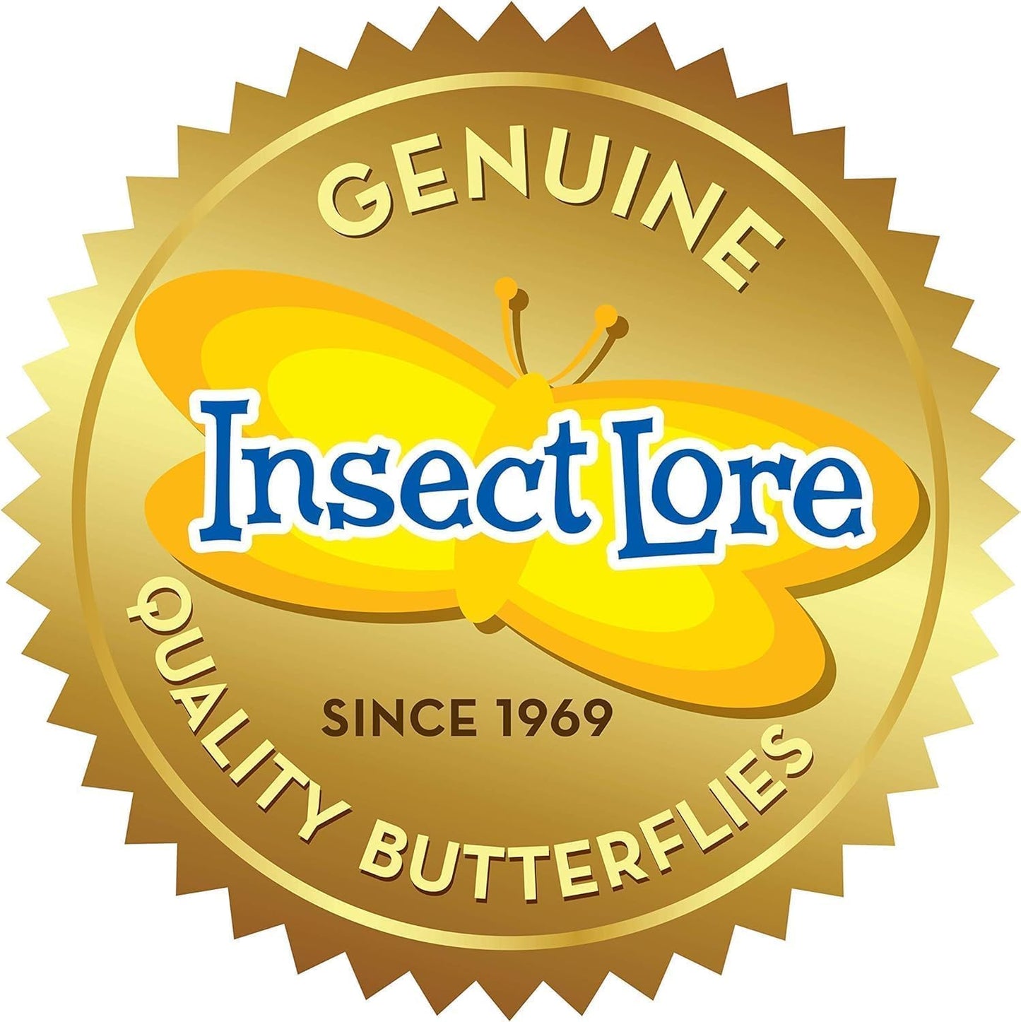 Insect Lore Two Cups of Live Caterpillars | Painted Lady Butterflies | Includes 2 Chrysalis Holding Logs | 10 Live Baby Caterpillars | Refill for Habitats and Kits