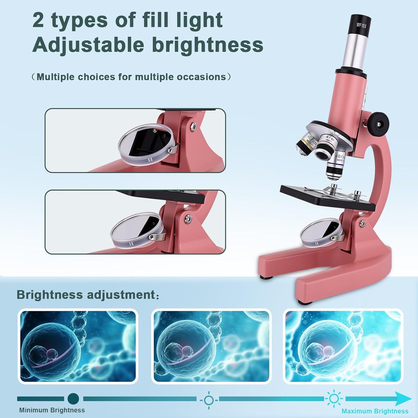 Microscope for Kids & Adults,40X-2000X Magnification Microscope for Kids 8-12, with LED Fill Light & Phone Holder, Great for School Labs and Home Schooling