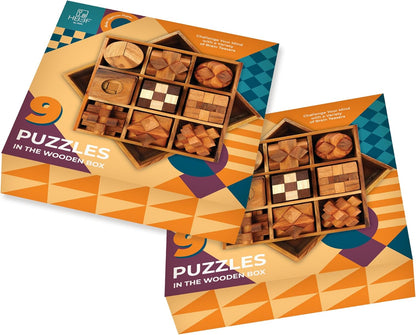 BSIRI 16 in 1 Wooden Brain Teaser Puzzles for Adults and Teens or Kids Interlocking 3D Mini Wood Mind Games Hand Puzzle Teasers Set Toys Coffee Table Games Gift