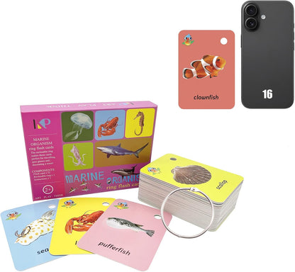 Toddler Number Flash Cards,No.123 Sight Words with Pictures Preschool Kids Flash Cards 28 Pcs with Ring(Number)