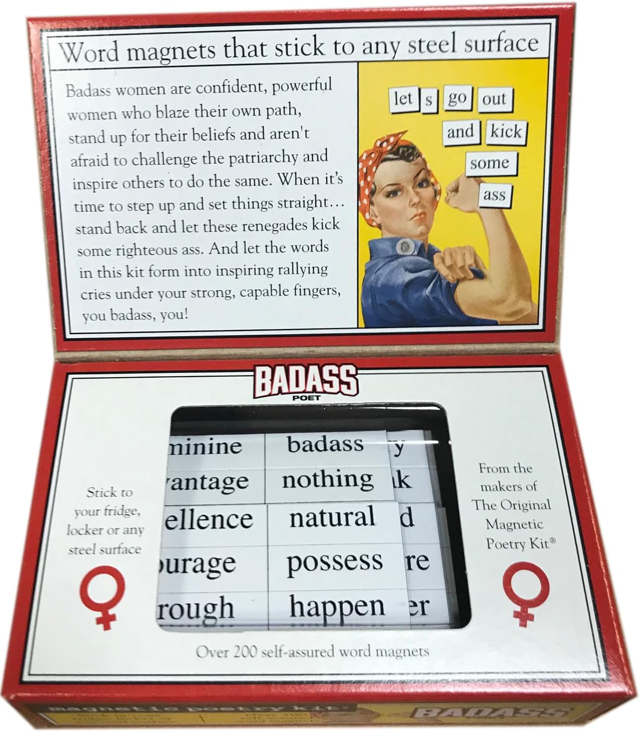 Bitch-Magnetic Poetry Kit