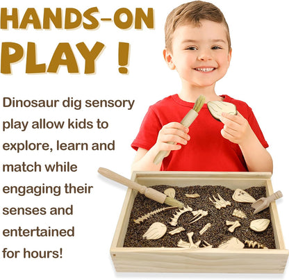 Dinosaur Excavation Archaeology Dig Kit for Kids, Fossil Explore Sensory Bin Toys, Dino Skeletons Bones Puzzle Game, Archaeology Science STEM Toys for Boys and Girls (Stegosaurus)