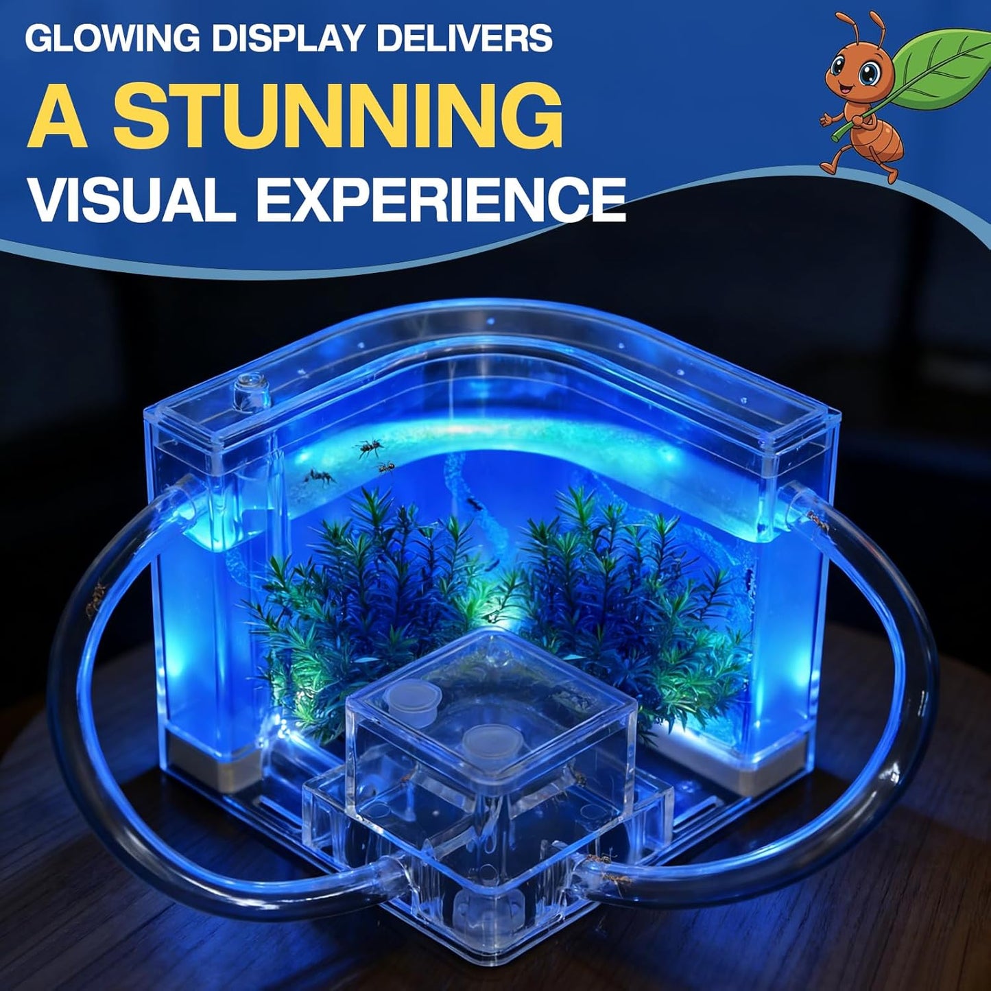 Ant Farm, Ant Habitat Kit with Built-in Lights for Observation and Learning, Fostering Exploration, Growth, and Discovery at Home