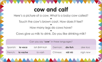 My First Touch and Feel Picture Cards: Farm (My First Board Books)