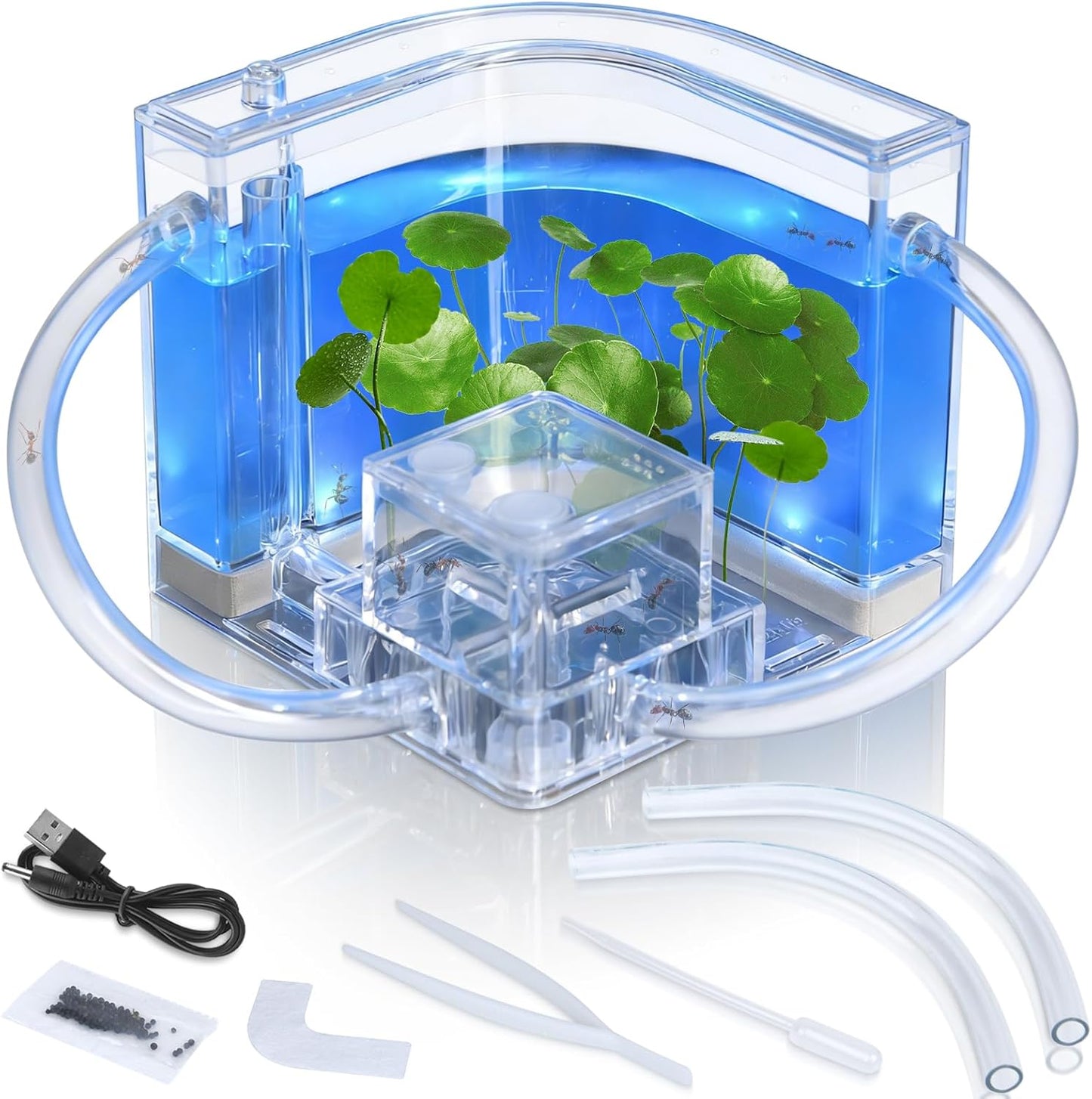 Ant Farm, Ant Habitat Kit with Built-in Lights for Observation and Learning, Fostering Exploration, Growth, and Discovery at Home