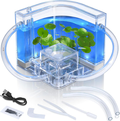 Ant Farm, Ant Habitat Kit with Built-in Lights for Observation and Learning, Fostering Exploration, Growth, and Discovery at Home