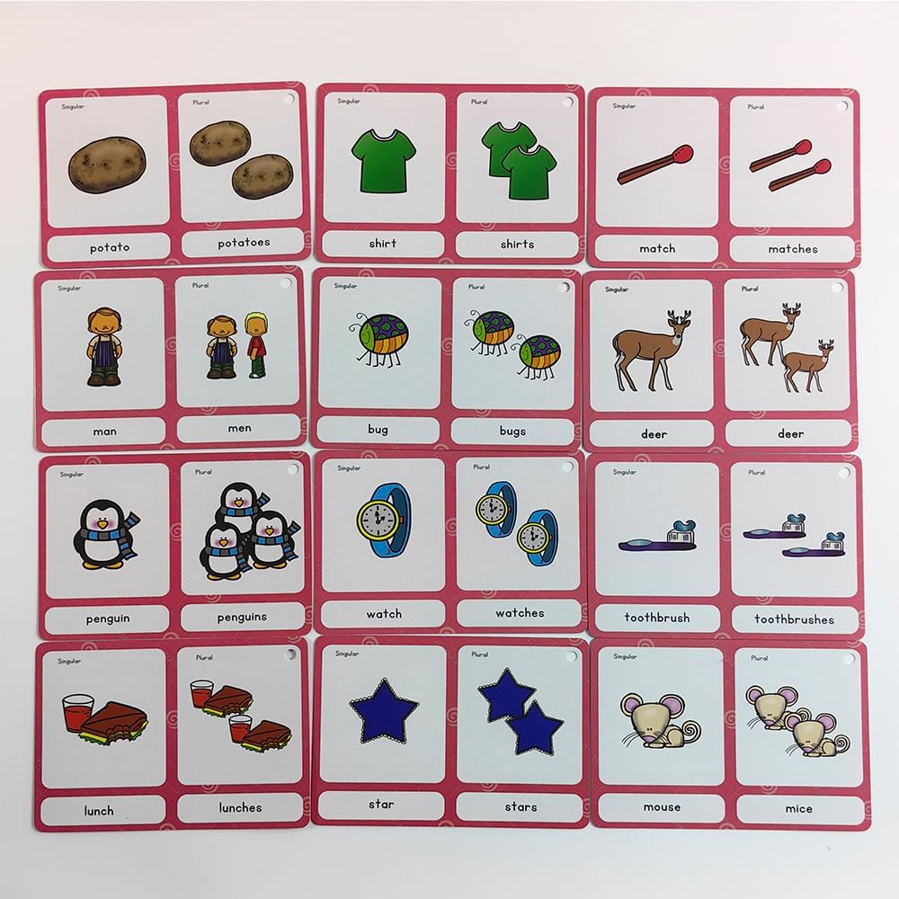 Lilias Irregular Past Tense Verbs English Grammar Double-Side Learning Flash Cards - 24 Card Set for Homeschool, Preschool, Primary School, ESL, Autism, Vocabulary Building