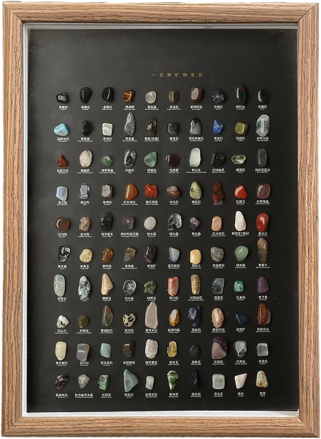 Natural Mineral Specimen Kit – 100pcs Rock Collection, Educational Science Box, Hands-On Learning, Display-Ready Stones | Rock Collection for Office, Bedroom, Living Room, Home, Educational Display