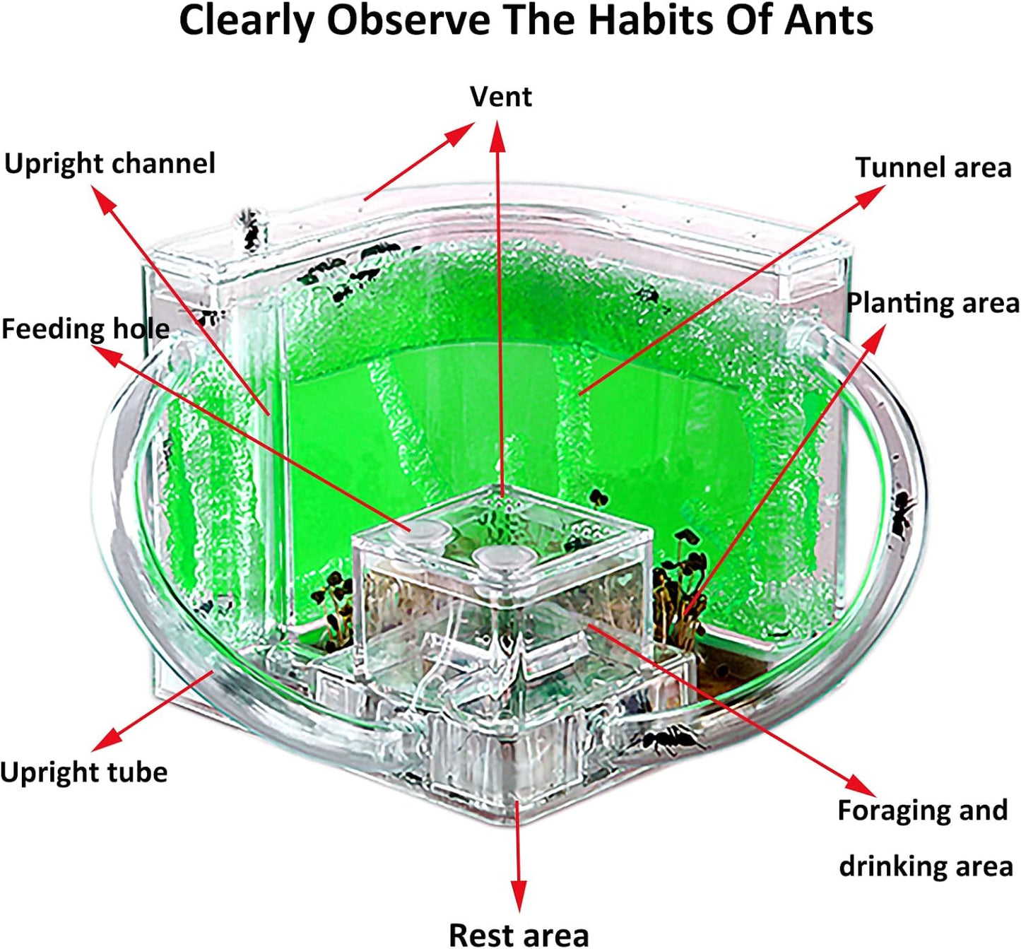 EXBEPE Ant Farm for Kids - Gel Castle Colony Ecosystem Terrarium Kit, Habitat Science Learning Kit
