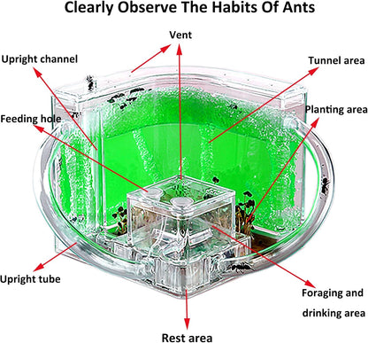 EXBEPE Ant Farm for Kids - Gel Castle Colony Ecosystem Terrarium Kit, Habitat Science Learning Kit