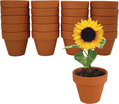 BUZZY Seeds Terracotta Mini Grow Pots – Herb Flower Plant Starter Kit Assorted 20-Pack with Lavender Seeds, Indoor Grow Your Own Gardening Gift for DIY Projects and Party Favors