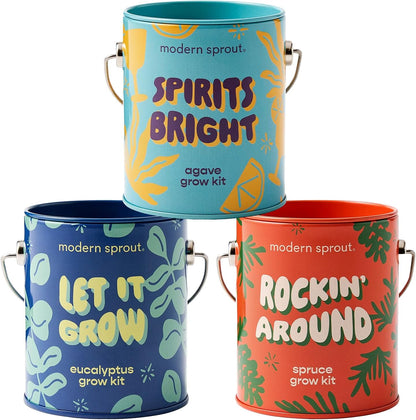 Modern Sprout Complimentary Color Grow Kits (Pack of 4) - Gift for Plant Lovers - Seed Starter Kit - Includes Organic Strawberry Tomato Sunflower & Cactus Seeds - Gardening Gifts that Grows with Love
