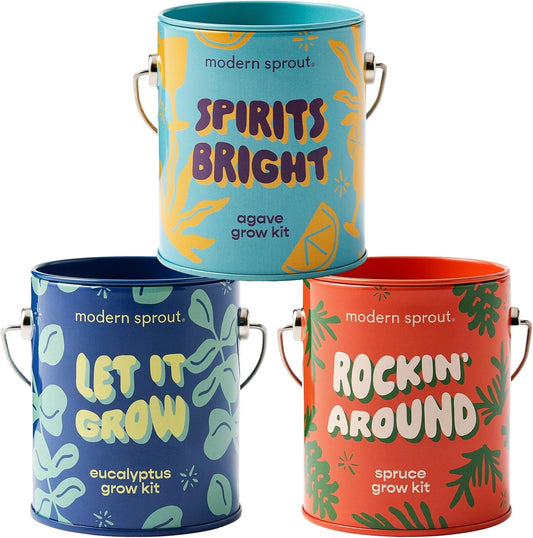 Modern Sprout Complimentary Color Grow Kits (Pack of 4) - Gift for Plant Lovers - Seed Starter Kit - Includes Organic Strawberry Tomato Sunflower & Cactus Seeds - Gardening Gifts that Grows with Love