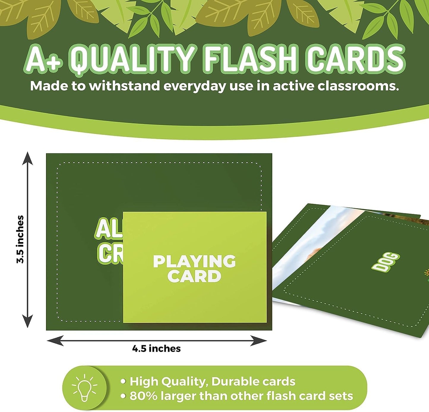 50 Noun Flash Cards, Fun Vocabulary Builder Educational Learning Photo Cards for Kids, Homeschool, Adults, Seniors, Speech Therapy, ESL, Autism, Dementia, Aphasia, SLP, ABA, and Occupational Therapy