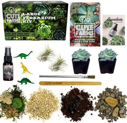 Cute Farms Terrarium Starter Kit | Moss, Vermiculite, Soil, Pebbles, Plant Food, & Finishing Tools (Large Kit + Crystals)