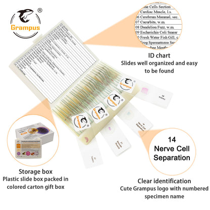 30 Prepared Microscope Slides with Specimens for Kids Students - Plants, for Biological Science Lab, Children's Science Education, Homeschooling Use