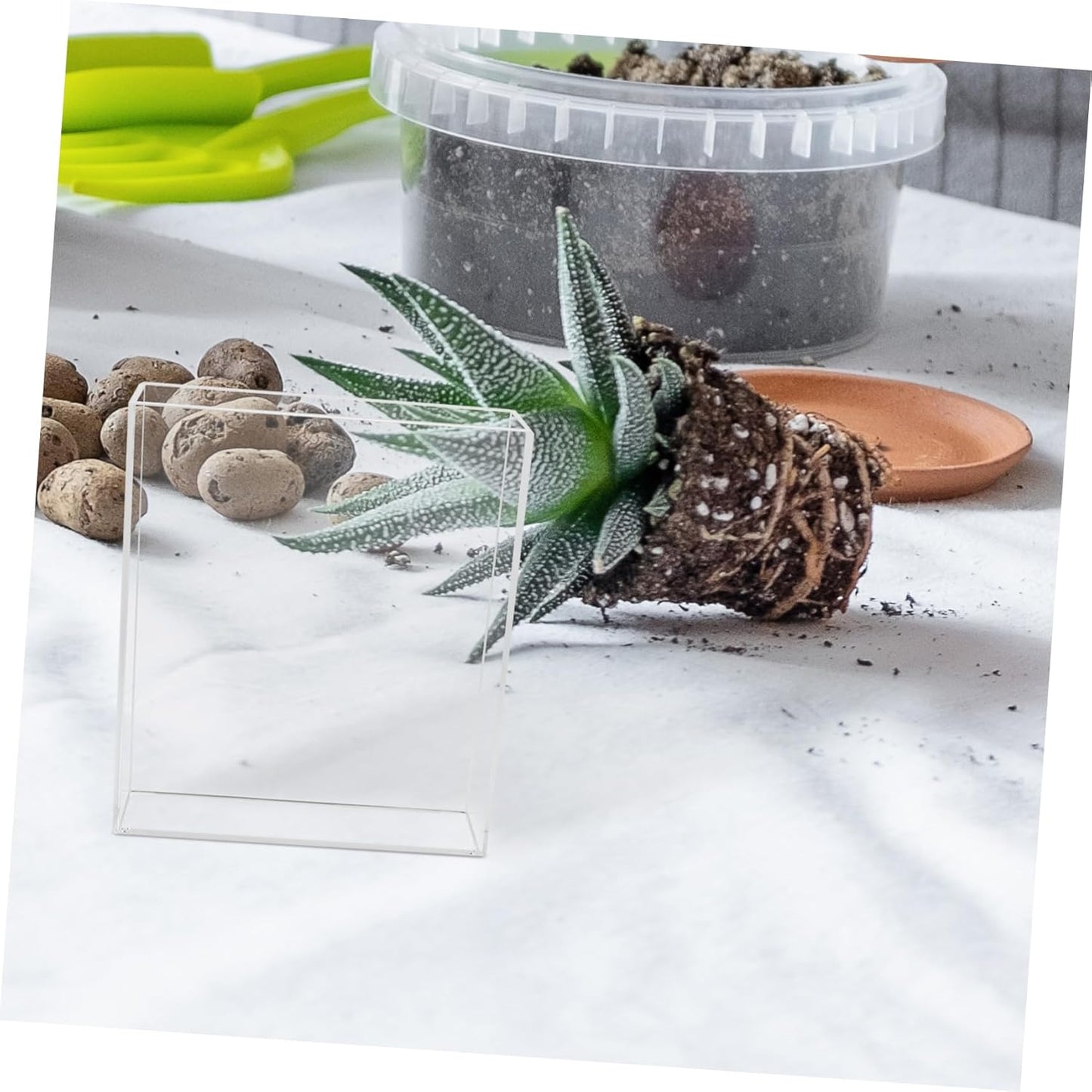 Yardwe Educational Tool Root Viewer Kit for Boys and Plant Rooting Mini Greenhouse Seedling Trays