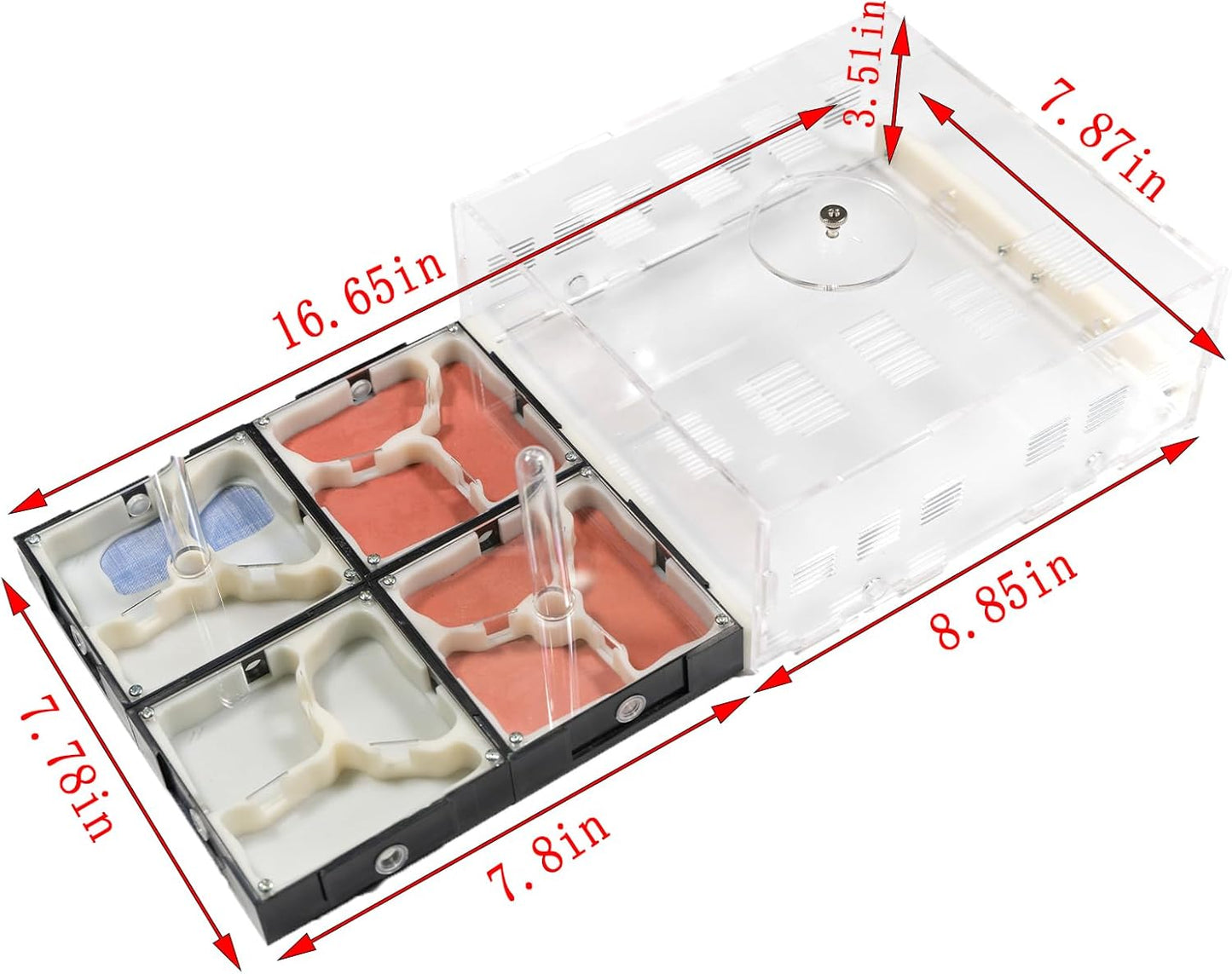 Plaster Test Tube Adult ant Farm Acrylic Transparent ant Observation Behavior Study Live Ants and Queen Education ant nest Small Colony breeding Area Suitable for Children and Enthusiasts Gift